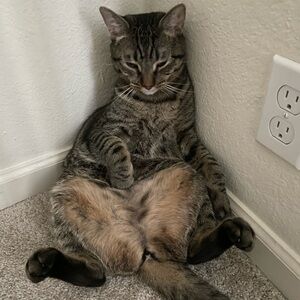 Meet your Posher, Erik